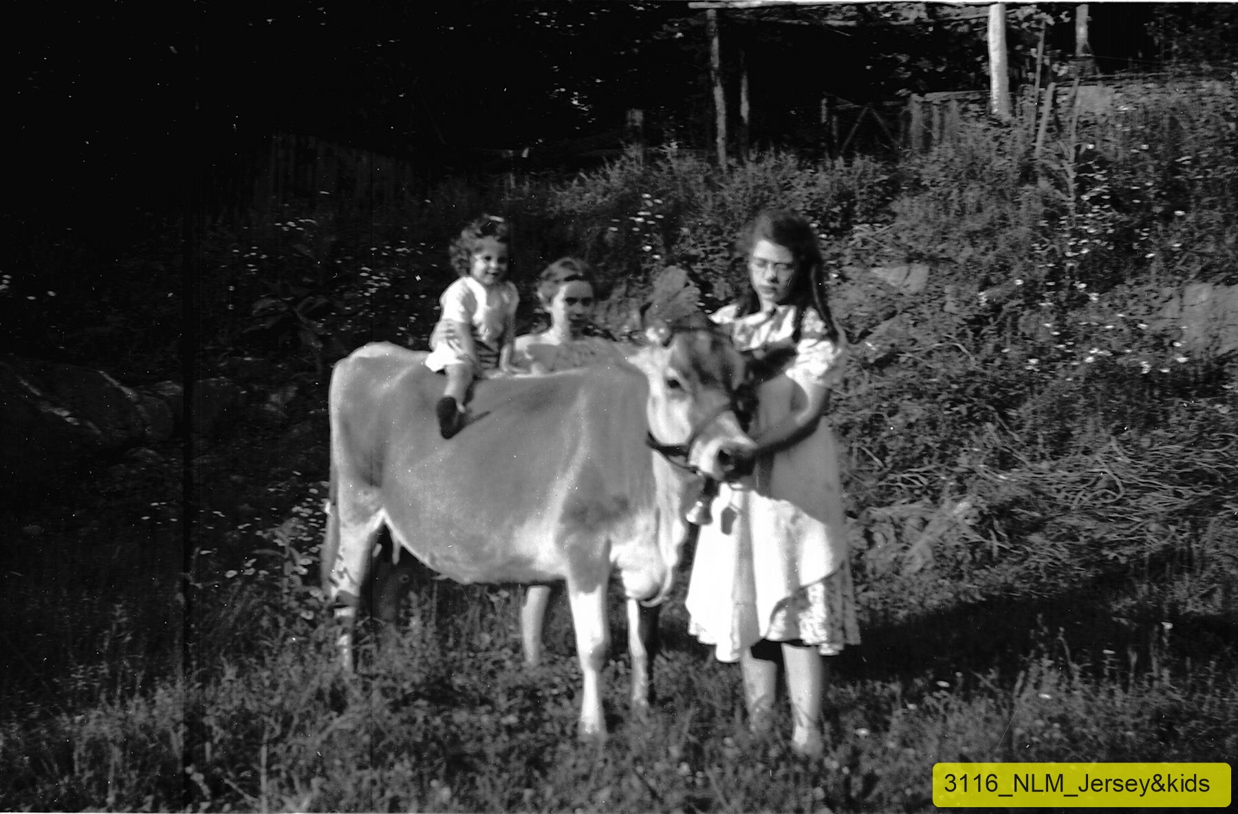 3116_NLM_Jersey&kids.jpg