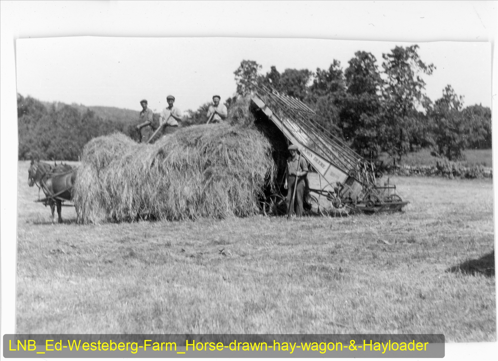 LNB_Ed-Westeberg-Farm_Horse-drawn-hay-wagon-&-Hayloader.jpg