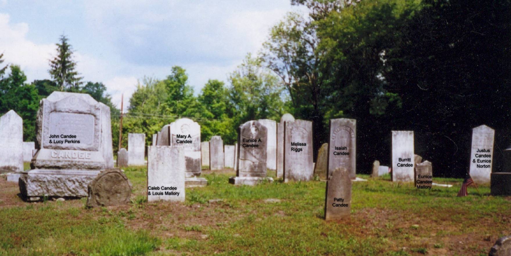 Headstones in Jack's Hill Cemetery with labels