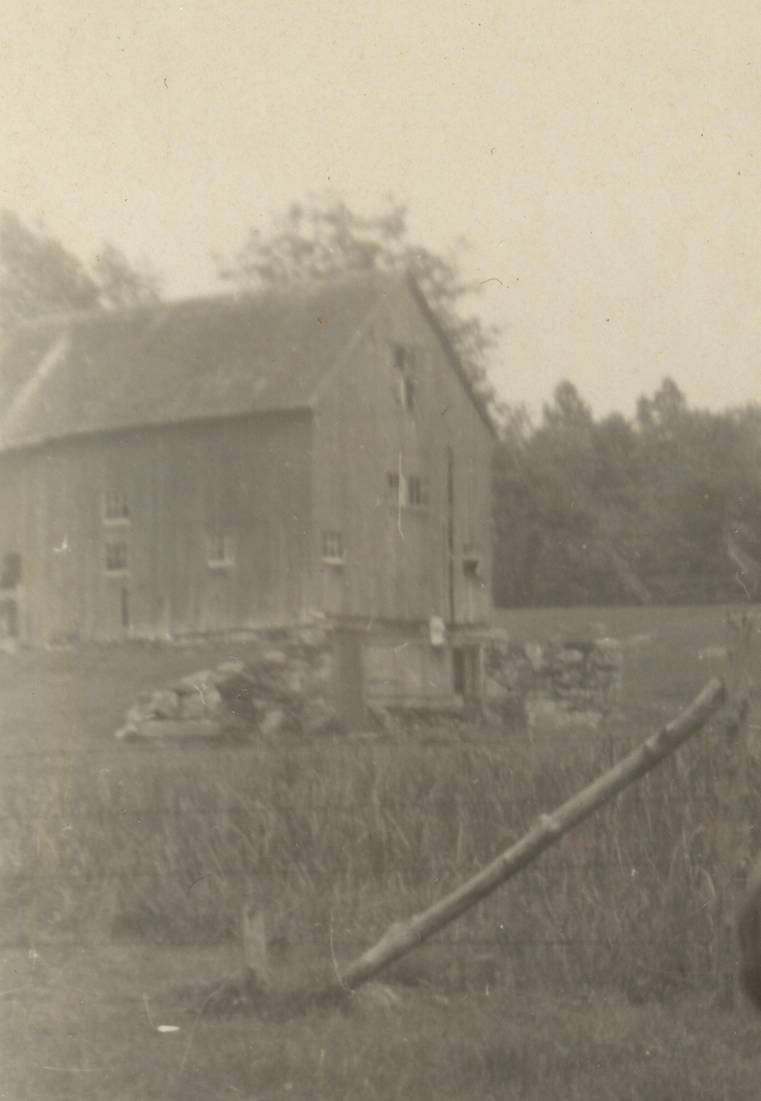 The backyard